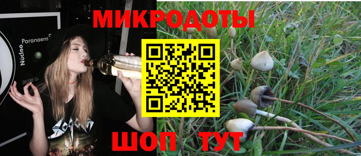 Галлюциногенные грибы Psilocybine cubensis  Вход с VPN  Назарово  Галлюциногенные грибы прущие грибы 