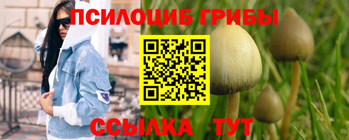 Псилоцибиновые грибы Psilocybe Назарово